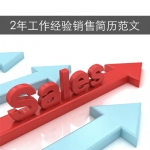 2年工作经验销售简历范文