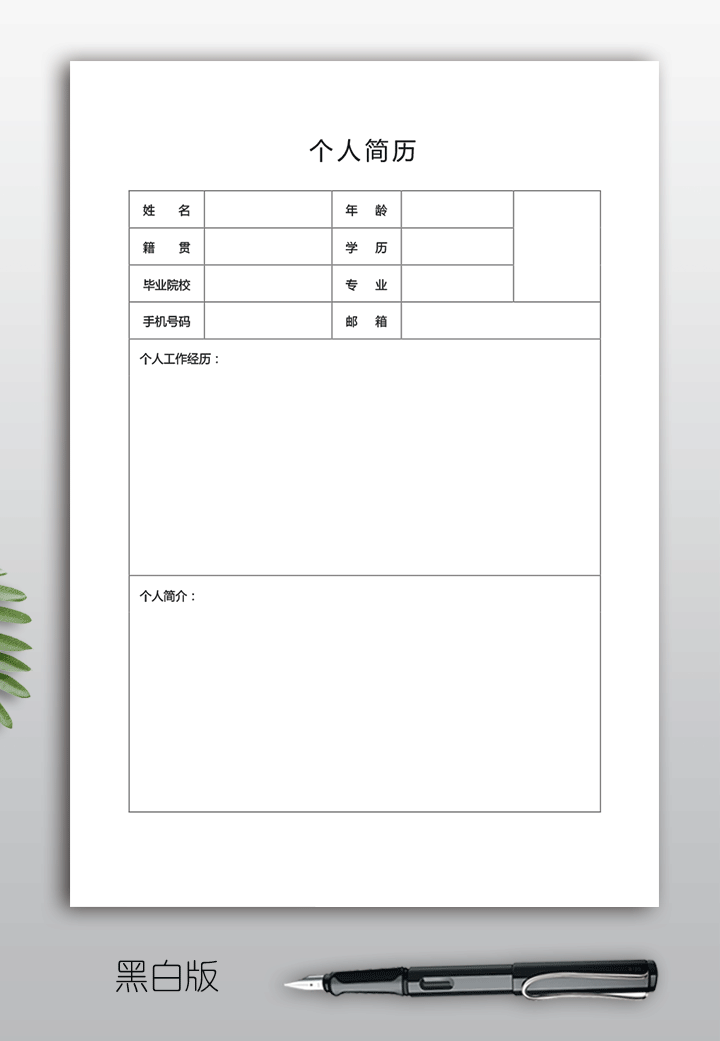 最简单的空白个人简历表格模板bg22-黑白版【图】