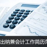 1年出纳兼会计经验工作简历范文