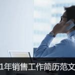 1年经验销售工作简历范文