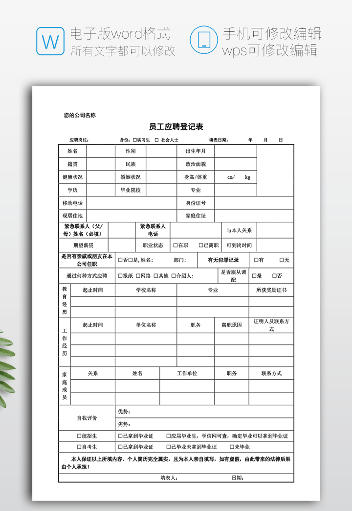 应聘登记表模板下载bg27第一页详细大图