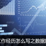 工作经历怎么写之数据篇