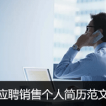 销售简历范文工作经历+自我评价4篇