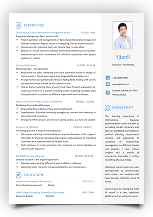 英文简历模板word电子版可填写下载yw23