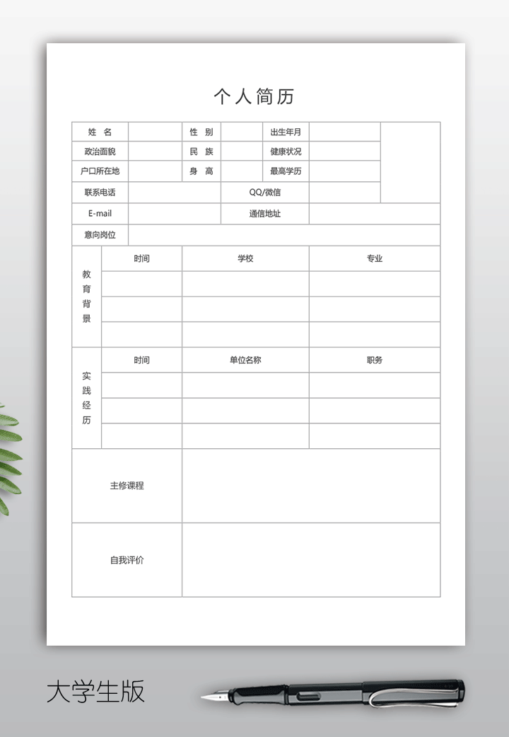 简洁个人简历表格空白word模板bg02-大学生版【图】